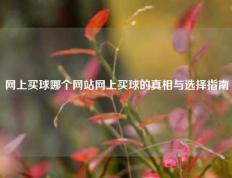 网上买球哪个网站网上买球的真相与选择指南