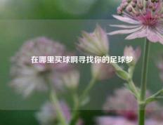在哪里买球啊寻找你的足球梦