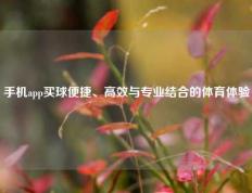 手机app买球便捷、高效与专业结合的体育体验