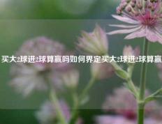 买大2球进2球算赢吗如何界定买大2球进2球算赢