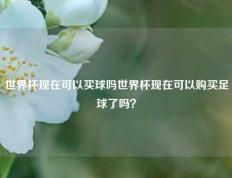 世界杯现在可以买球吗世界杯现在可以购买足球了吗？