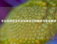 平台买球合法平台买球合法的现状与未来展望