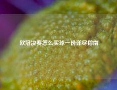 欧冠决赛怎么买球一份详尽指南