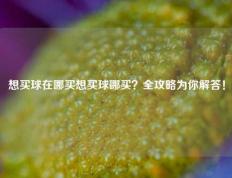 想买球在哪买想买球哪买？全攻略为你解答！