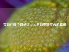 买球在哪个网站许c77,tv足球竞猜平台的真相