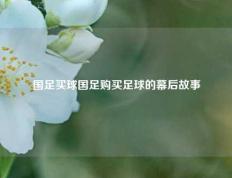 国足买球国足购买足球的幕后故事