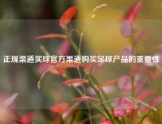 正规渠道买球官方渠道购买足球产品的重要性