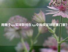 用哪个app买球如何在App中购买足球比赛门票？
