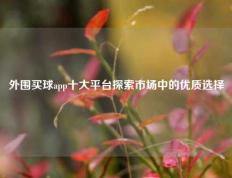 外围买球app十大平台探索市场中的优质选择