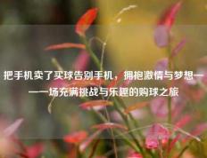 把手机卖了买球告别手机，拥抱激情与梦想——一场充满挑战与乐趣的购球之旅