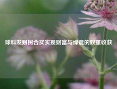 球料发财树合买实现财富与绿意的双重收获