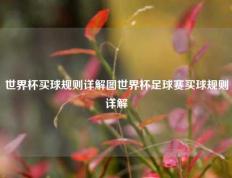 世界杯买球规则详解图世界杯足球赛买球规则详解