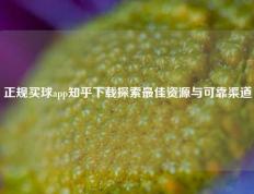 正规买球app知乎下载探索最佳资源与可靠渠道