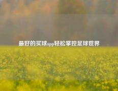 最好的买球app轻松掌控足球世界