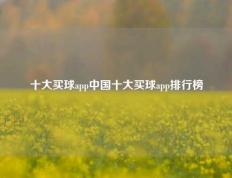 十大买球app中国十大买球app排行榜
