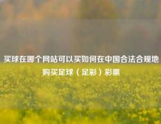 买球在哪个网站可以买如何在中国合法合规地购买足球（足彩）彩票