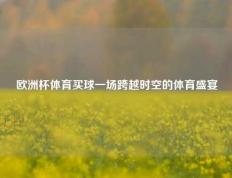 欧洲杯体育买球一场跨越时空的体育盛宴