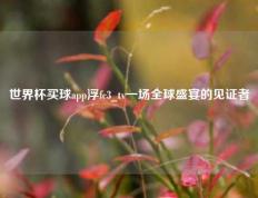 世界杯买球app浮fc3_tv一场全球盛宴的见证者