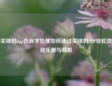 买球的app告诉才处理如何通过买球的APP轻松找到乐趣与商机