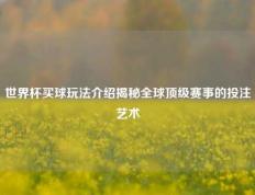 世界杯买球玩法介绍揭秘全球顶级赛事的投注艺术