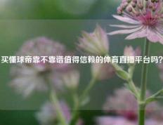 买懂球帝靠不靠谱值得信赖的体育直播平台吗？