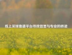 线上买球靠谱平台寻找信誉与专业的桥梁