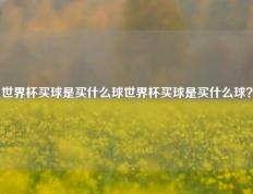 世界杯买球是买什么球世界杯买球是买什么球？