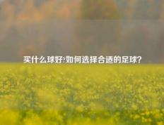 买什么球好?如何选择合适的足球？