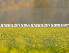 魔域空经验球在哪买魔域空经验球在哪里购买？