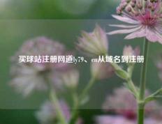 买球站注册网道ly79、cn从域名到注册