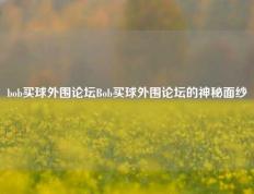 bob买球外围论坛Bob买球外围论坛的神秘面纱