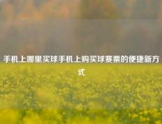 手机上哪里买球手机上购买球赛票的便捷新方式
