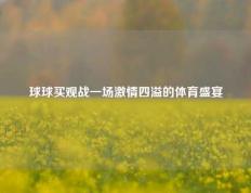 球球买观战一场激情四溢的体育盛宴
