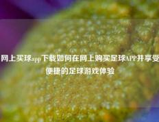 网上买球app下载如何在网上购买足球APP并享受便捷的足球游戏体验