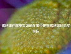 悠悠球在哪里买如何在家中找到悠悠球的购买渠道