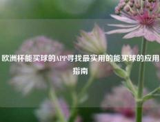 欧洲杯能买球的APP寻找最实用的能买球的应用指南