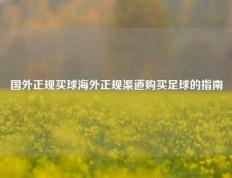 国外正规买球海外正规渠道购买足球的指南
