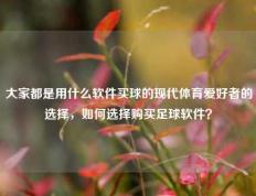 大家都是用什么软件买球的现代体育爱好者的选择，如何选择购买足球软件？