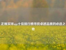 正规买球app十佳排行榜寻找卓越品质的必选之地