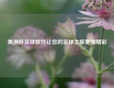 美洲杯买球软件让您的足球之旅更加精彩