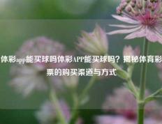 体彩app能买球吗体彩APP能买球吗？揭秘体育彩票的购买渠道与方式