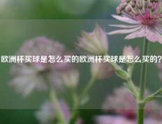 欧洲杯买球是怎么买的欧洲杯买球是怎么买的？