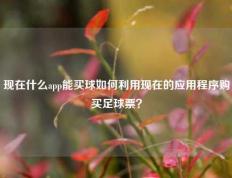 现在什么app能买球如何利用现在的应用程序购买足球票？
