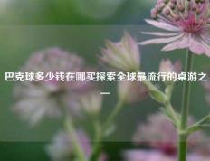 巴克球多少钱在哪买探索全球最流行的桌游之一