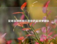 足球买球教程打造你的足球梦球队