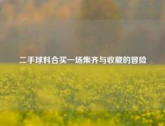 二手球料合买一场集齐与收藏的冒险