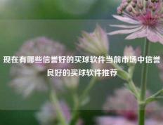 现在有哪些信誉好的买球软件当前市场中信誉良好的买球软件推荐
