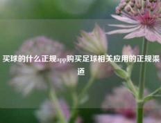 买球的什么正规app购买足球相关应用的正规渠道