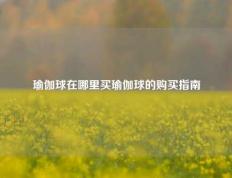 瑜伽球在哪里买瑜伽球的购买指南