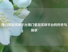 澳门皇冠买球平台澳门皇冠买球平台的历史与现状